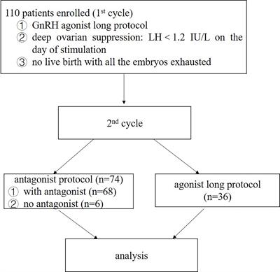 Patients With Deep Ovarian Suppression Following GnRH Agonist Long Protocol May Benefit From a Modified GnRH Antagonist Protocol: A Retrospective Cohort Study